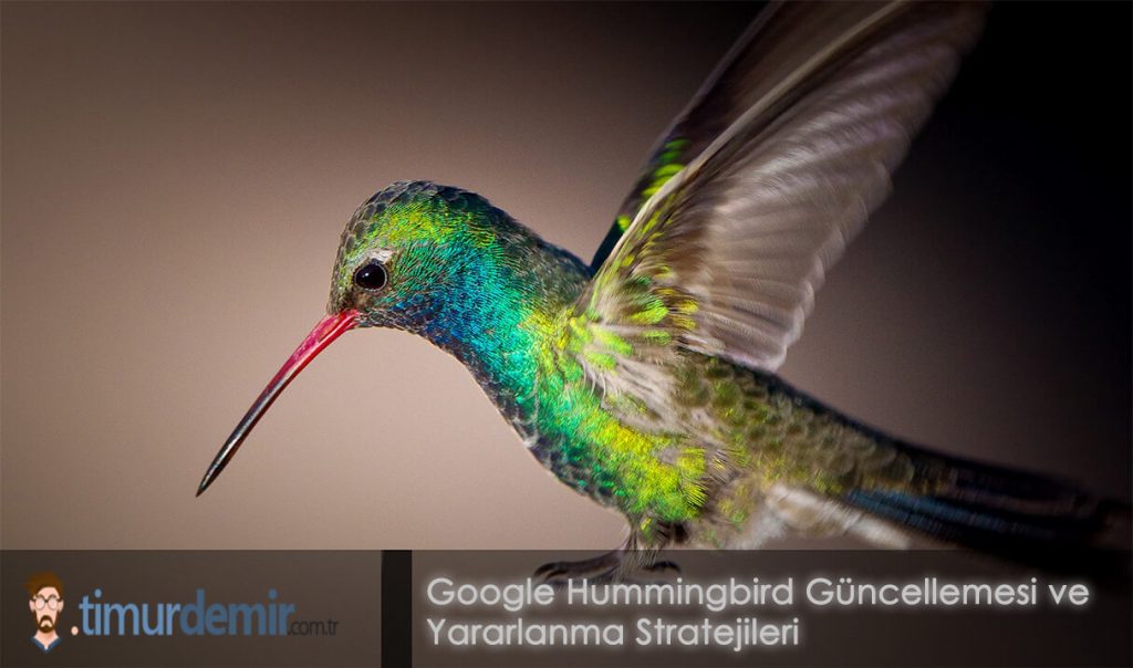 hummingbird guncellemesi